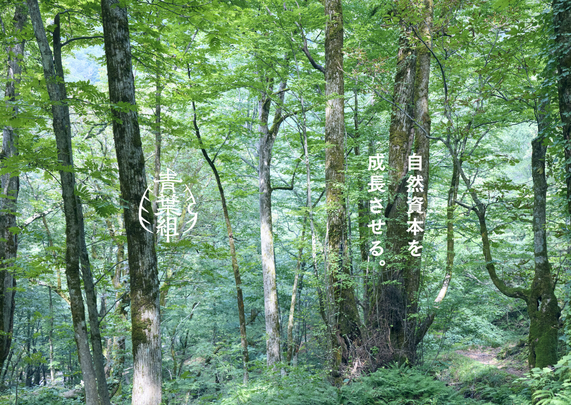 自然資本を<br>成長させる